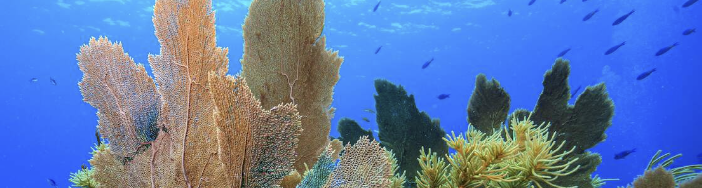 Schermafbeelding 2024 04 04 111643