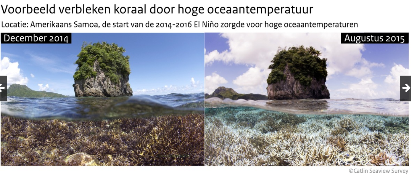 Schermafbeelding 2024 04 04 111919