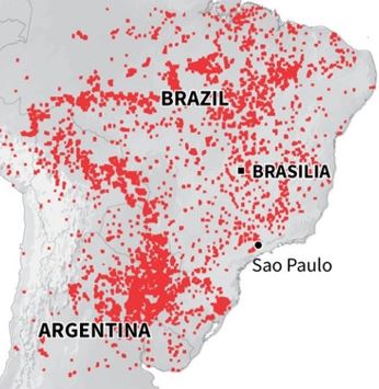 amazon