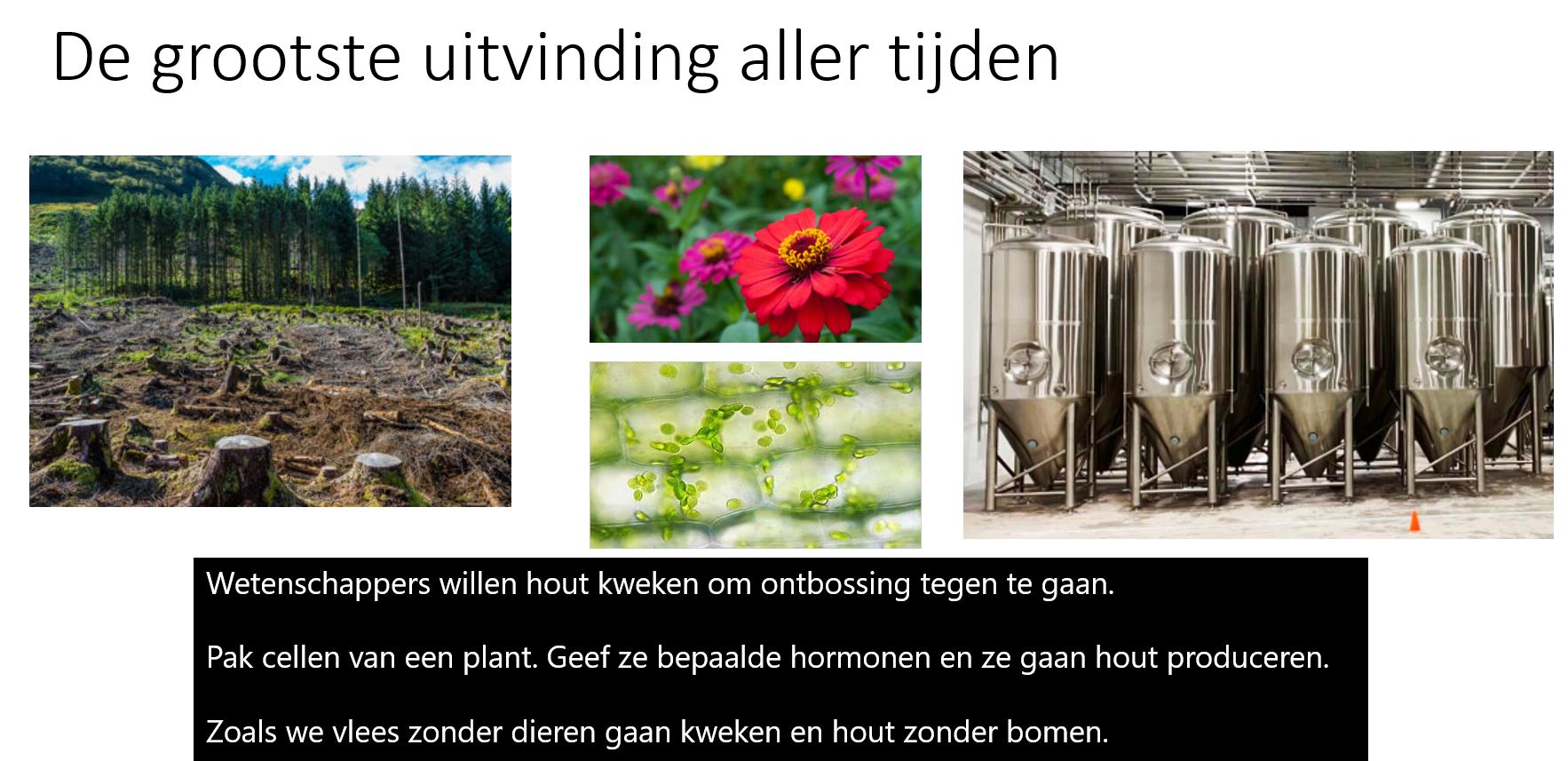 hout2