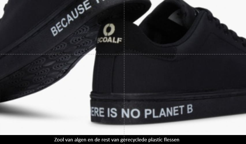 schoen