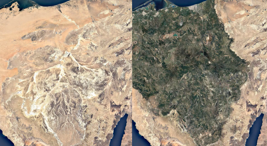 sinai