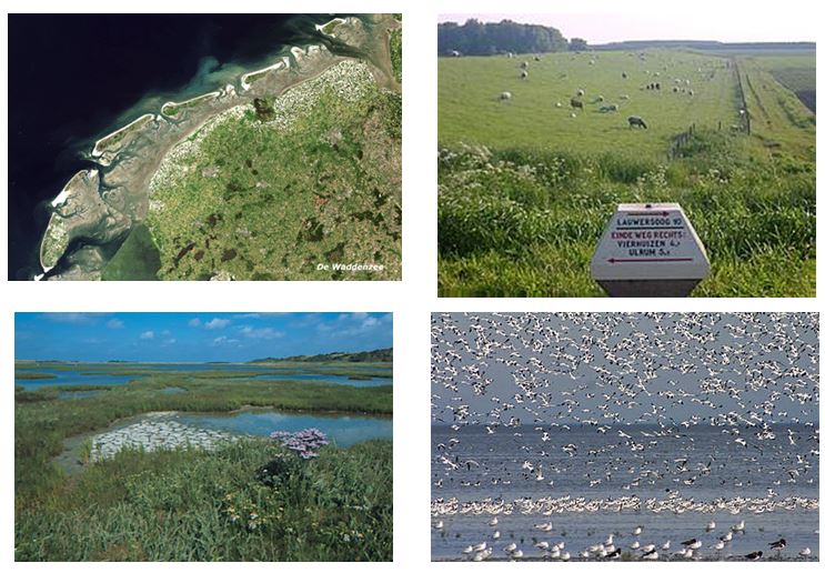 wadden