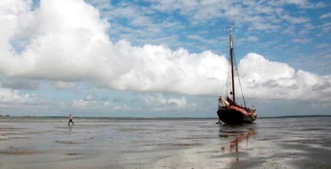 waddenzee