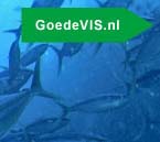 duurzame voeding