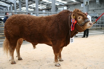 module_duurzame_veehouderij