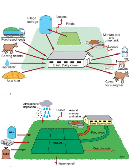 module_duurzame_veehouderij