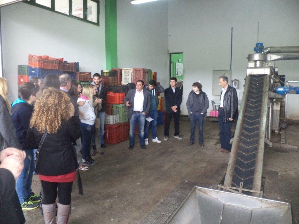 11.1 Start of olive mill tour