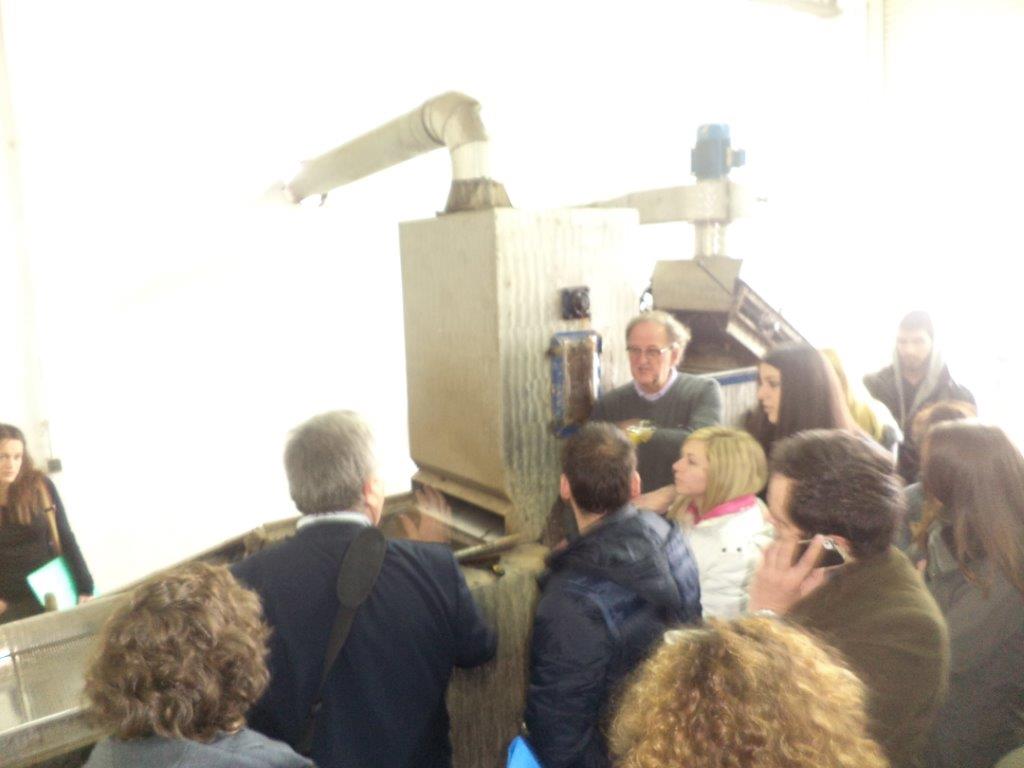 11.4 Professor Rubos expains the handling of the olive fruit