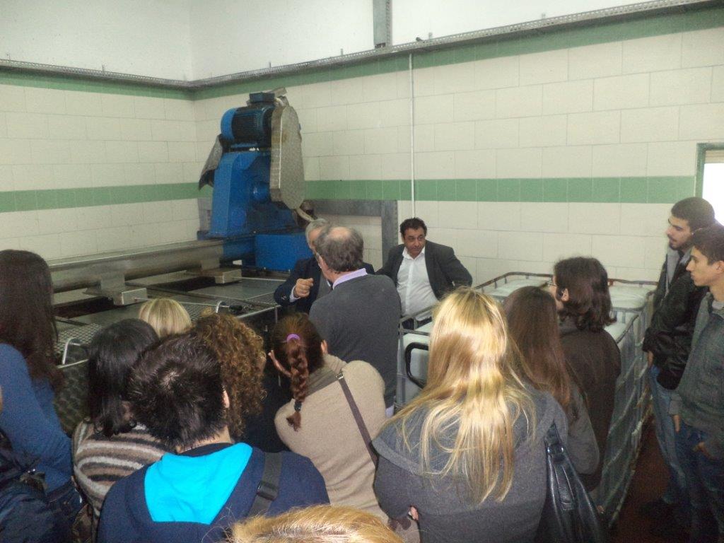 11.5 Main processing facilities - beggining of line