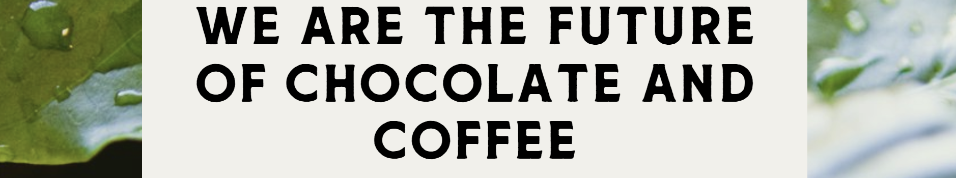 cacaofuture.jpeg