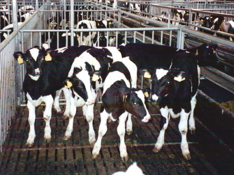 module_duurzame_veehouderij