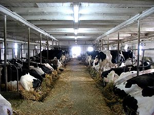 module_duurzame_veehouderij