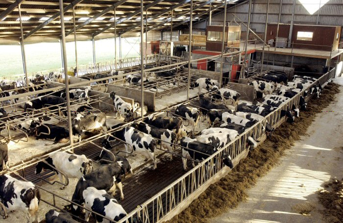 module_duurzame_veehouderij