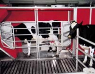 module_duurzame_veehouderij