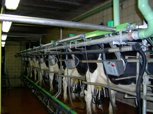module_duurzame_veehouderij