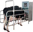 module_duurzame_veehouderij